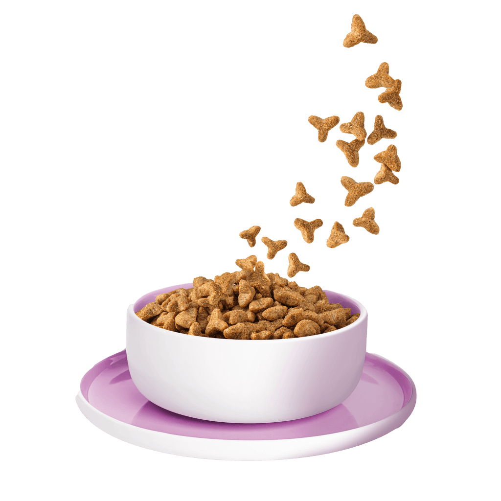 KITTY Cat - Trockenfutter Truthahn Sterilisied 800 g - Produkt in Schale/Napf