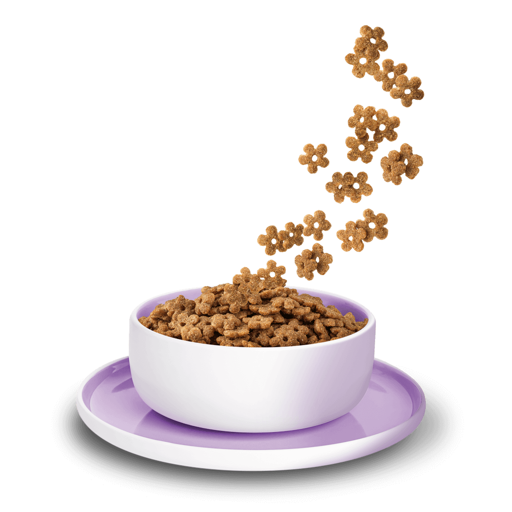 KITTY Cat - Trockenfutter Ente Sensible 800 g - Produkt in Schale/Napf