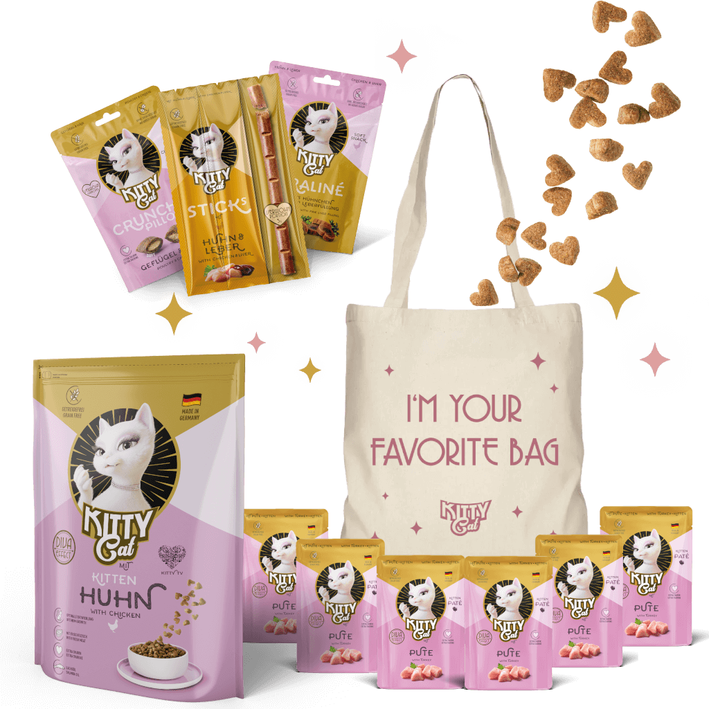 KITTY Probierbox für Kitten - Hauptbild