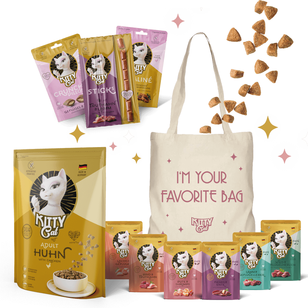 KITTY Probierbox - Hauptbild