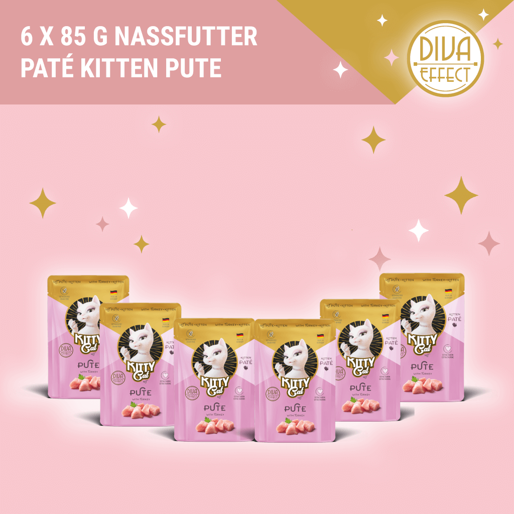 KITTY Probierbox für Kitten - MP 3